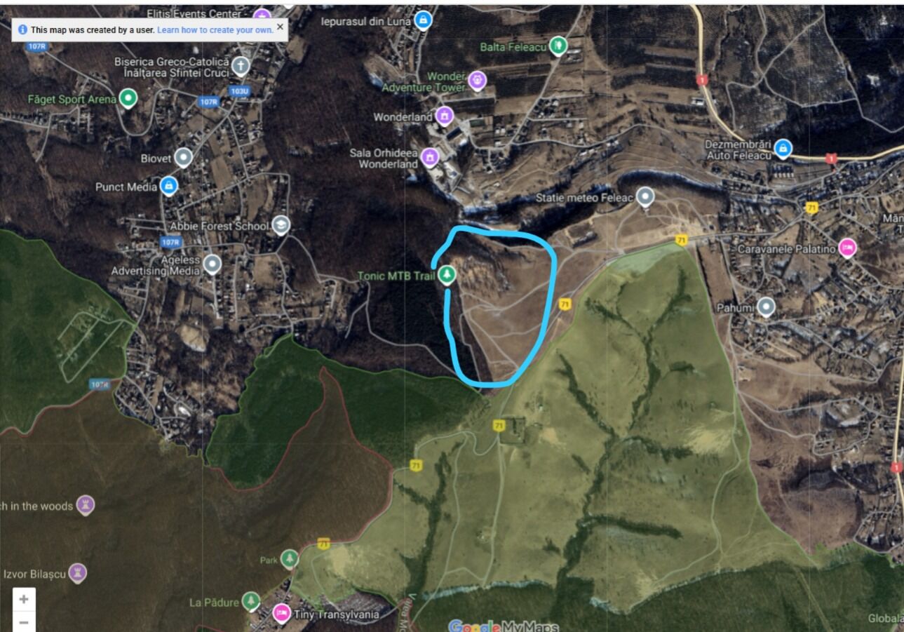 Lumina soarelui prin copaci